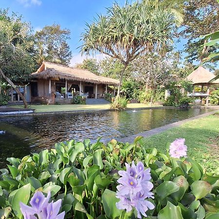 Selemadeg  Bali Beach Eco Villas Pondok Matekap מראה חיצוני תמונה