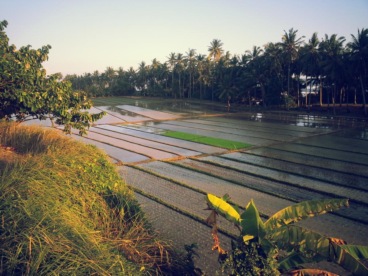 Selemadeg  Bali Beach Eco Villas Pondok Matekap מראה חיצוני תמונה