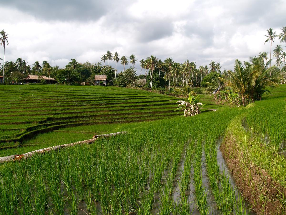 Selemadeg  Bali Beach Eco Villas Pondok Matekap מראה חיצוני תמונה