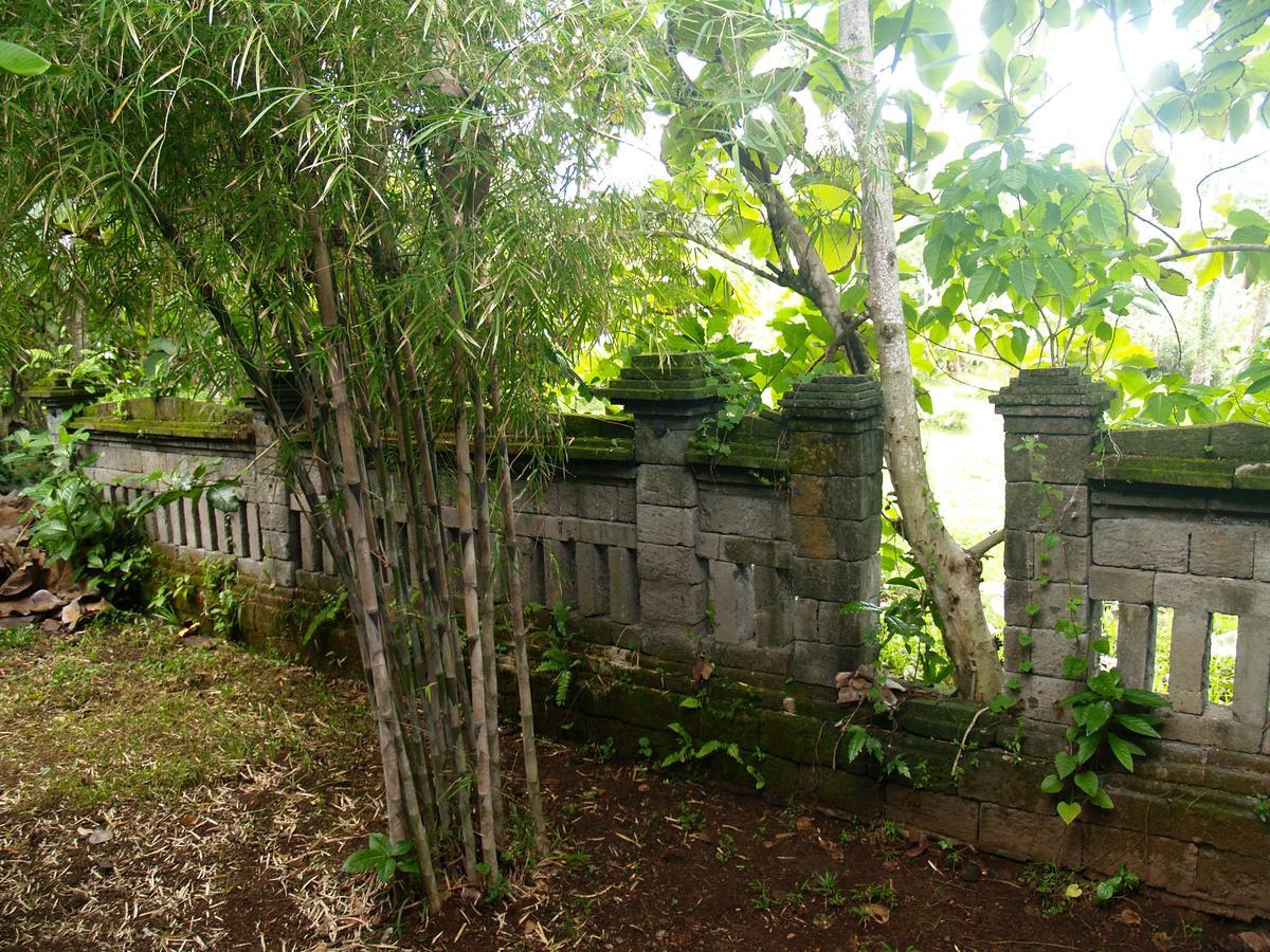 Selemadeg  Bali Beach Eco Villas Pondok Matekap מראה חיצוני תמונה