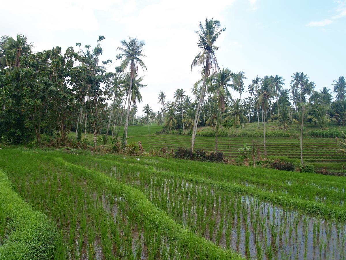 Selemadeg  Bali Beach Eco Villas Pondok Matekap מראה חיצוני תמונה