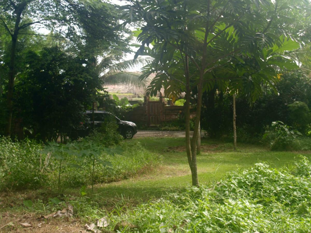 Selemadeg  Bali Beach Eco Villas Pondok Matekap מראה חיצוני תמונה