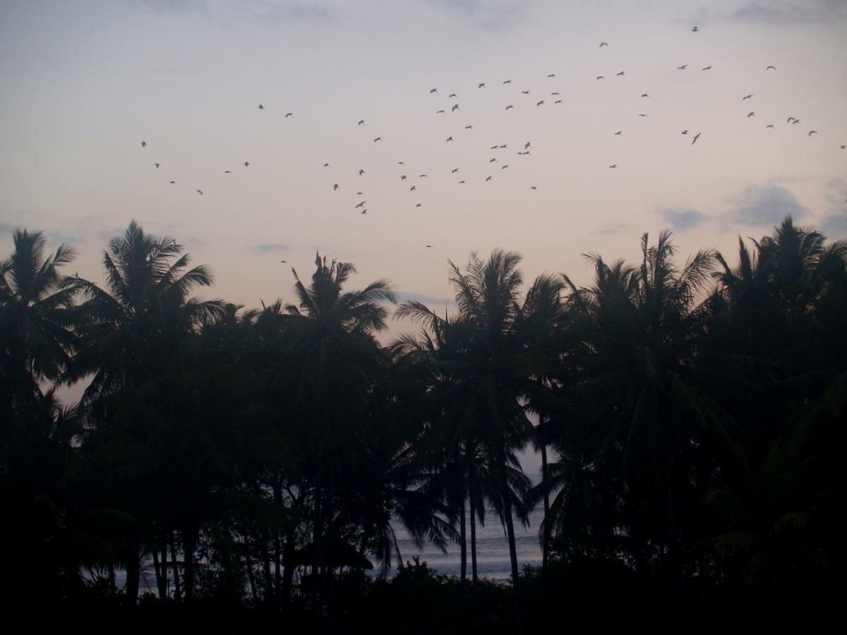 Selemadeg  Bali Beach Eco Villas Pondok Matekap מראה חיצוני תמונה
