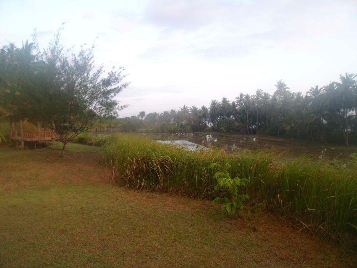Selemadeg  Bali Beach Eco Villas Pondok Matekap מראה חיצוני תמונה