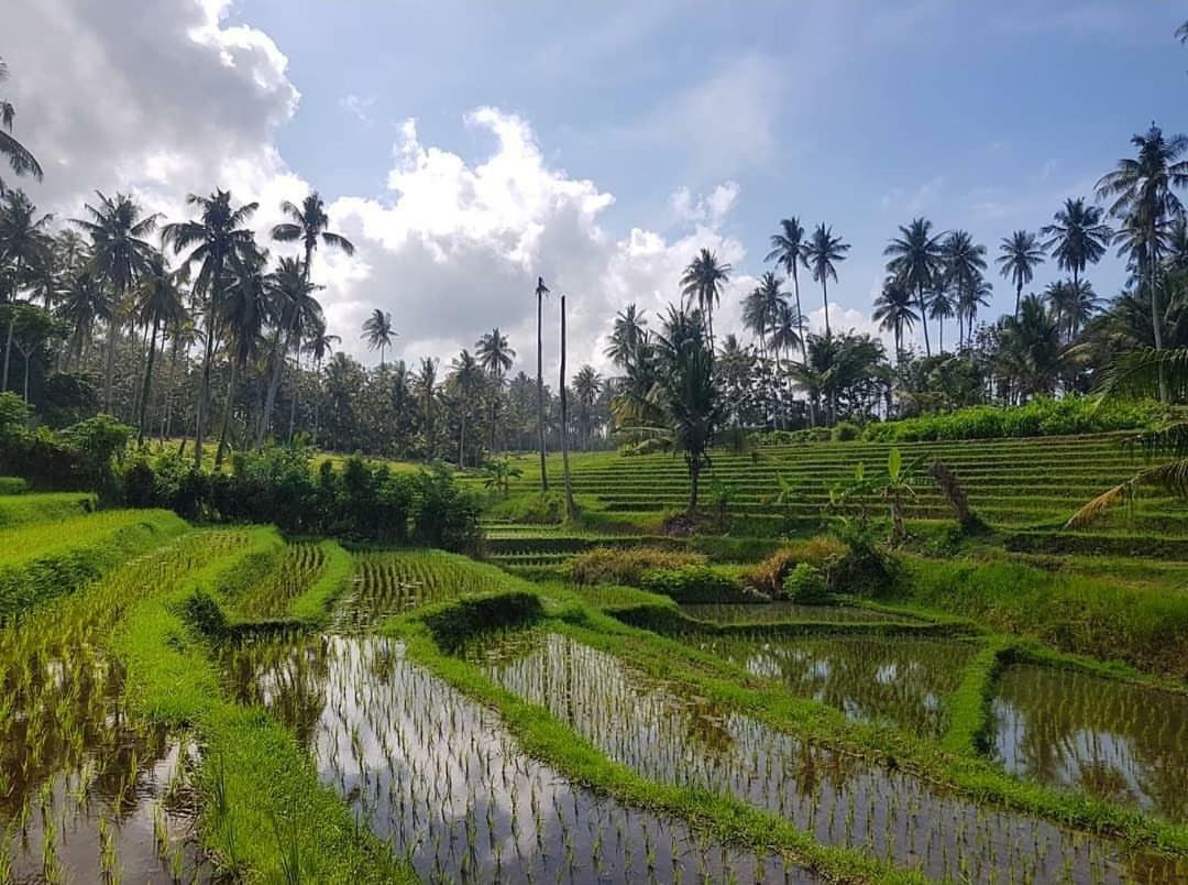 Selemadeg  Bali Beach Eco Villas Pondok Matekap מראה חיצוני תמונה